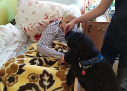 Hattrick měl krásný hebký a kudrnatý kožíšek