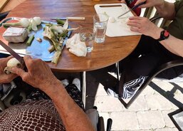 Léto v plném proudu