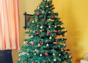Vánoční strom Charity Studénka čeká na rozsvícení
