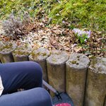 IMG_20210315_101813