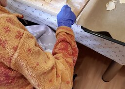 Pečení cukroví na Velikonoce