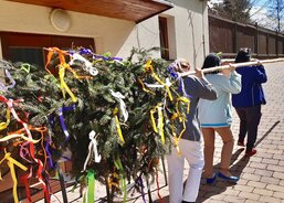 V zahradě Charity Studénka se tyčí májka