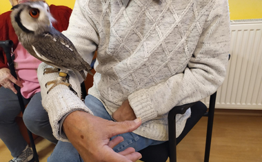 Nevšední návštěva