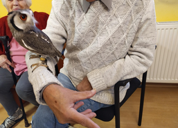 Nevšední návštěva