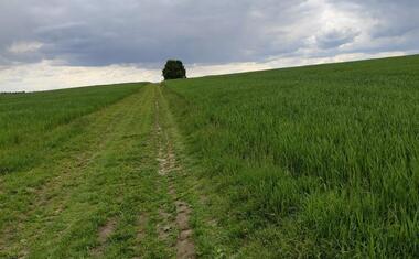 Charitní putování