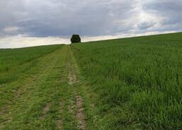 Charitní putování