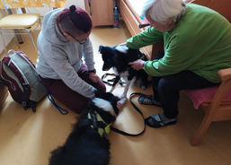 Psí kamarádi mezi námi 