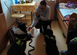 Psí kamarádi mezi námi 