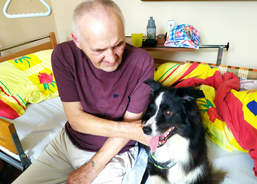 Psí kamarádi mezi námi 