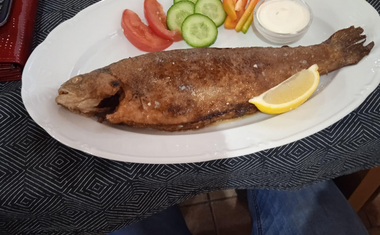 Podzimní výlet - Bartošovický rybník