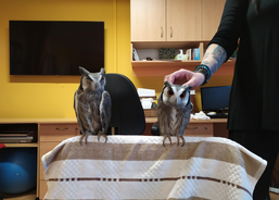 Nevšední návštěva