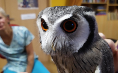 Nevšední návštěva