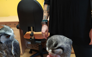 Nevšední návštěva