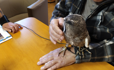 Nevšední návštěva