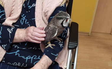 Nevšední návštěva