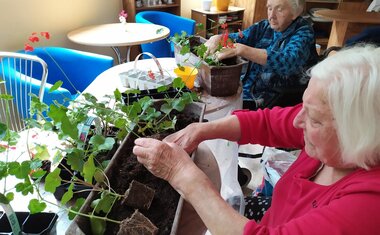 Květen v Domově sv. Anny