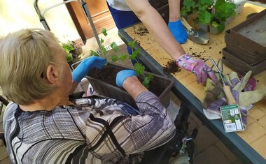 Jarní dny v Domově sv. Anny – čas radosti, pohybu a vůně pampelišek