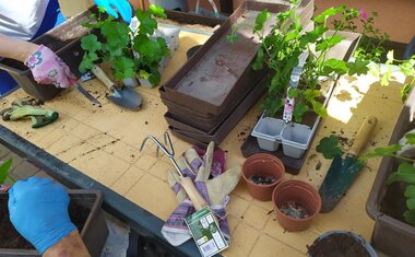 Jarní dny v Domově sv. Anny – čas radosti, pohybu a vůně pampelišek