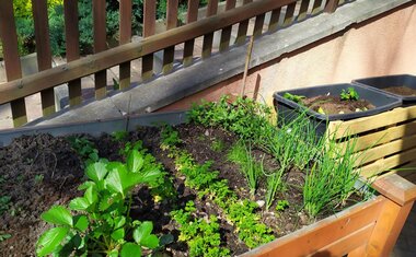 Jarní dny v Domově sv. Anny – čas radosti, pohybu a vůně pampelišek