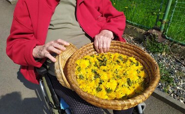 Jarní dny v Domově sv. Anny – čas radosti, pohybu a vůně pampelišek