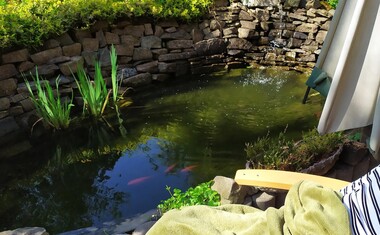 Jarní dny v Domově sv. Anny – čas radosti, pohybu a vůně pampelišek