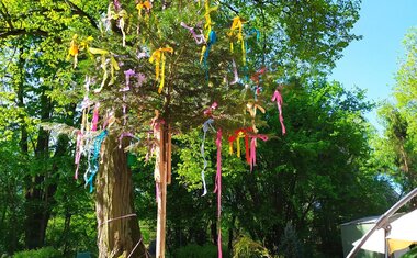 Májku nám a i letos ji pomohly nazdobit děti z MŠ Butovická