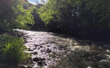 Charitní putování