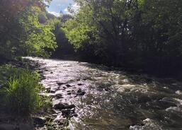 Charitní putování